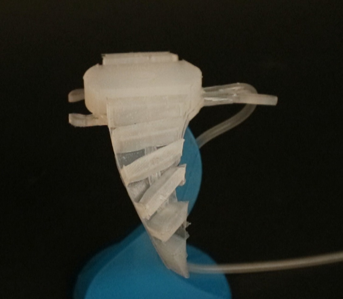 Manta Ray — Accordion like folded wing segments close-up