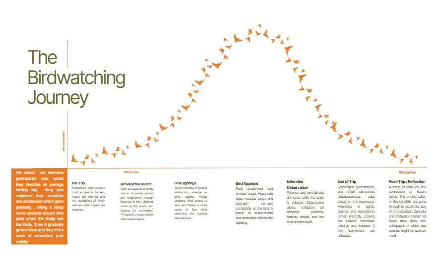 Roost Tea — Detailed UX journey map showing emotional arc of a birdwatching trip